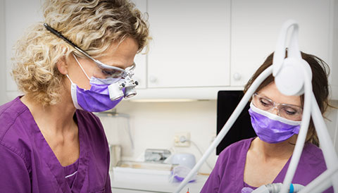 image promoting the dental assistant certificate